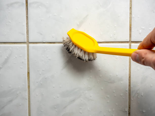 Best Mold Removal Near Me  in Whitehouse, TX